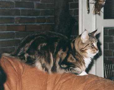 kkerry_mom.jpg (20839 bytes)
