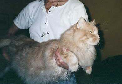 kkerrys_daddy.jpg (16958 bytes)